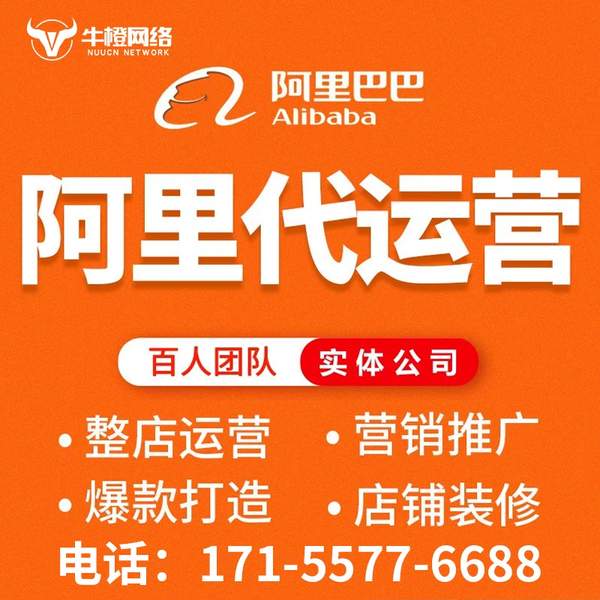 安庆电商代运营