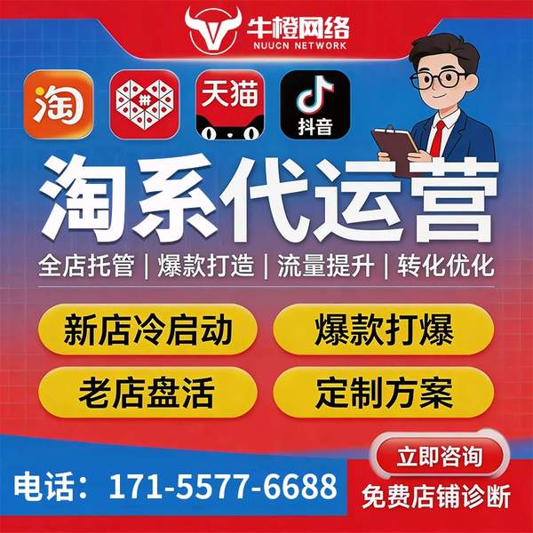 安庆电商代运营