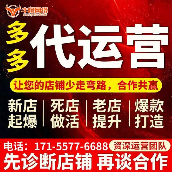 安庆电商代运营