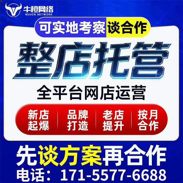 安庆电商代运营
