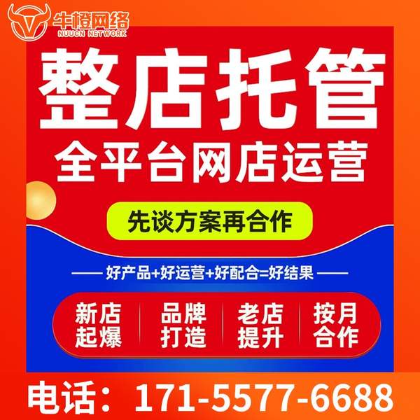 安庆电商代运营