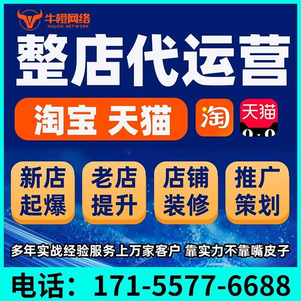 安庆电商代运营