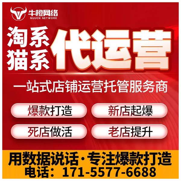 安庆电商代运营